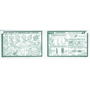 ID Card Leaves of Northeast Trees