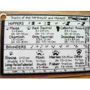 tracks_of_the_northeast_and_midwest_front_side